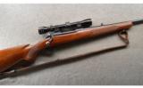 Winchester ~ Model 70 ~ .300 Win Mag ~ Pre-64 - 1 of 9