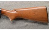 Winchester ~ Model 12 ~ 12 Ga ~ Made in 1959 - 9 of 9