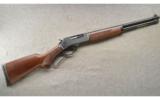 Henry ~ H010 (Lever Action) ~ .45-70 Govt - 1 of 2