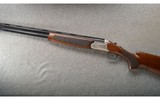 Legacy Sports ~ Pointer ~ 12 Ga ~ ANIB - 2 of 2