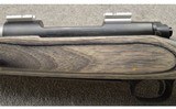 Winchester ~ 70 SA Coyote ~ .22-250 Remington - 8 of 10