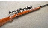 Ruger ~ M77 Varmint ~ .22-250 Remington ~ Flat Bolt - 1 of 10