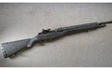 Springfield ~ M1A ~ .308/7.62 Nato - 1 of 10