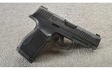 SIG Sauer ~ P365 XL ~ Optics Ready ~ .9 MM - 1 of 4