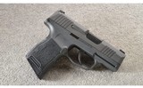 SIG Sauer ~ P365 ~ Micro-compact ~ .9 MM