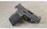 SIG Sauer ~ P365 ~ Micro-compact ~ .9 MM - 1 of 4