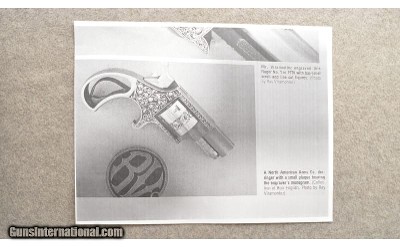 Rocky Mountain Arms ~ Casull Model A22S ~ Engraved By Ray Viramontez ~ 22 Short - Image 9 of 9