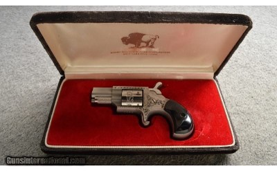 Rocky Mountain Arms ~ Casull Model A22S ~ Engraved By Ray Viramontez ~ 22 Short - Image 6 of 9