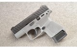 Beretta ~ APX ~ A1 ~ Carry ~ Wolf Grey ~ 9 MM ~ As New - 2 of 4