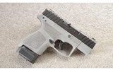 Beretta ~ APX ~ A1 ~ Carry ~ Wolf Grey ~ 9 MM ~ As New - 1 of 4