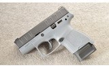 Beretta ~ APX ~ Carry ~ Wolf Grey ~ 9 MM ~ As New - 2 of 4