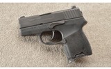 Sig Sauer P290RS - 2 of 5