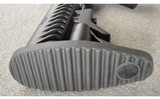 SIG Sauer ~ 556 ~ 5.56x45mm ~ 2009 - 10 of 11