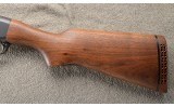 Ithaca ~ Mag 10 - 10 Gauge - 10 of 11