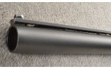 Ithaca ~ Mag 10 - 10 Gauge - 7 of 11