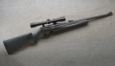 Remington Arms ~ 597 ~ .22lr