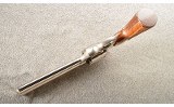 Colt ~ Diamondback ~ Electroless Nickel ~ 22 Long Rifle - 3 of 9