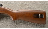 Chiappa ~ M1-22 ~.22 Long Rifle - 10 of 11