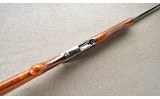Browning ~ A5 ~ Sweet Sixteen ~ 16 Gauge ~ 1951 Production - 6 of 13