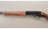 Winchester ~ Model 250 ~ 22 S/L/LR - 11 of 14