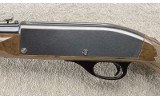 Remington ~ Nylon 66 ~ .22 lr ~ Pre-1968 - 7 of 12