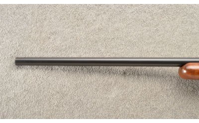 Shilen ~ DGA ~ 6 MM Remington - Image 8 of 11