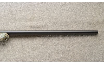 Benelli ~ BE.S.T. ~ LUPO ~ 6.5 Creedmoor - Image 4 of 12