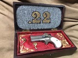 DOUBLE DEUCE BUDDY ARMS DERRINGER IN FANCY BOX FOR SALE - 3 of 14