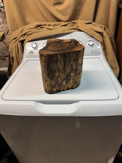 Antique Brazilian Rosewood stump licensed dug stump Rosewood knife slabs Rosewood pistol grips - Image 1 of 9