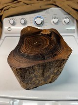 Antique Brazilian Rosewood stump licensed dug stump Rosewood knife slabs Rosewood pistol grips - Image 2 of 9