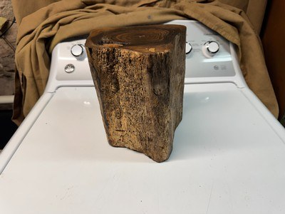 Antique Brazilian Rosewood stump licensed dug stump Rosewood knife slabs Rosewood pistol grips - Image 4 of 9