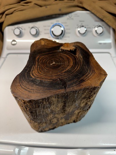 Antique Brazilian Rosewood stump licensed dug stump Rosewood knife slabs Rosewood pistol grips - Image 2 of 9