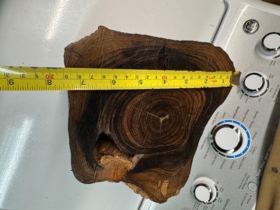 Antique Brazilian Rosewood stump licensed dug stump Rosewood knife slabs Rosewood pistol grips - Image 7 of 9