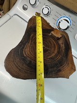 Antique Brazilian Rosewood stump licensed dug stump Rosewood knife slabs Rosewood pistol grips - Image 8 of 9