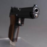 Sig Sauer P210 9MM PARA Used - 5 of 6