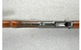 Browning 12 GA Semi-Auto - 3 of 6