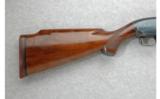 Winchester Model 12 Engraved Larry Roe 12 GA - 5 of 7