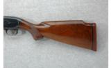 Winchester Model 12 Engraved Larry Roe 12 GA - 7 of 7