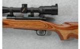 Winchester Model 70 SA .243 Win. SS - 4 of 7
