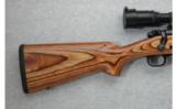 Winchester Model 70 SA .243 Win. SS - 5 of 7