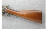 Winchester Model 1886 .33 W.C.F. (1906) - 7 of 7