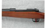 Cabelas Limited Edition Winchester Model 70 7MM REM MAG - 4 of 7
