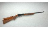 Browning 22 Auto.22 Long Rifle - 2 of 8