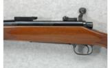 Remington Model 700 Classic .25-06 Rem. - 4 of 7