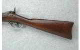 Springfield U.S. Model 1884 .45-70 Trapdoor - 7 of 8