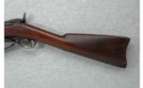 Springfield U.S. Model 1884 .45-70 Trapdoor - 7 of 7