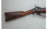 Springfield U.S. Model 1884 .45-70 Trapdoor - 5 of 7