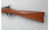 Springfield U.S. Model 1884 .45-70 Trapdoor - 7 of 7