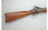 Springfield U.S. Model 1884 .45-70 Trapdoor - 5 of 7