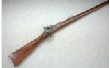 Springfield U.S. Model 1873 .45-70 Trapdoor - 1 of 7